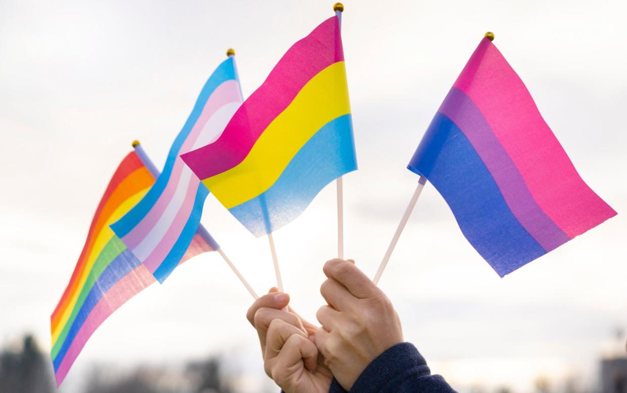 Hands holding pride flags in the sky