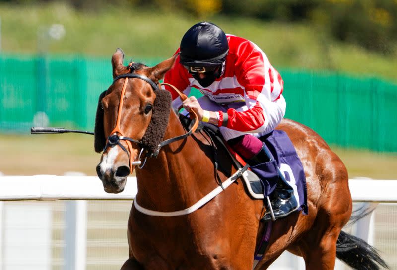 Horse Racing at Newcastle Racecourse