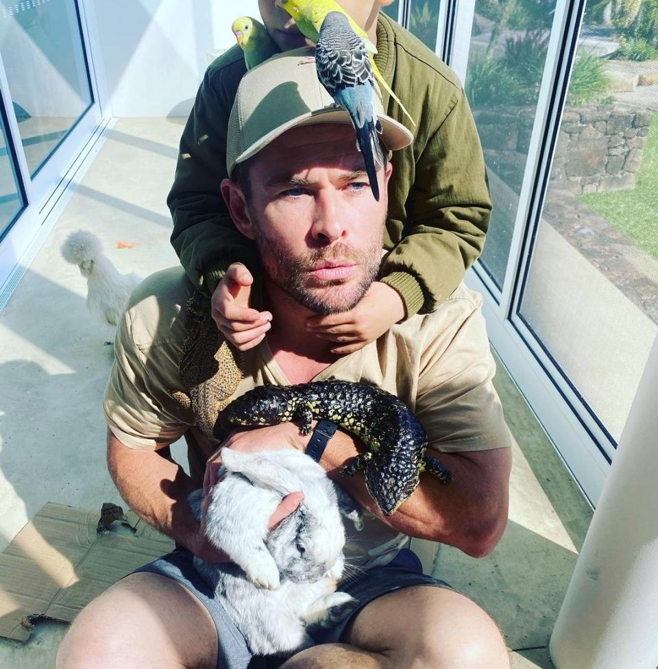 Chris Hemsworth with animals on his body