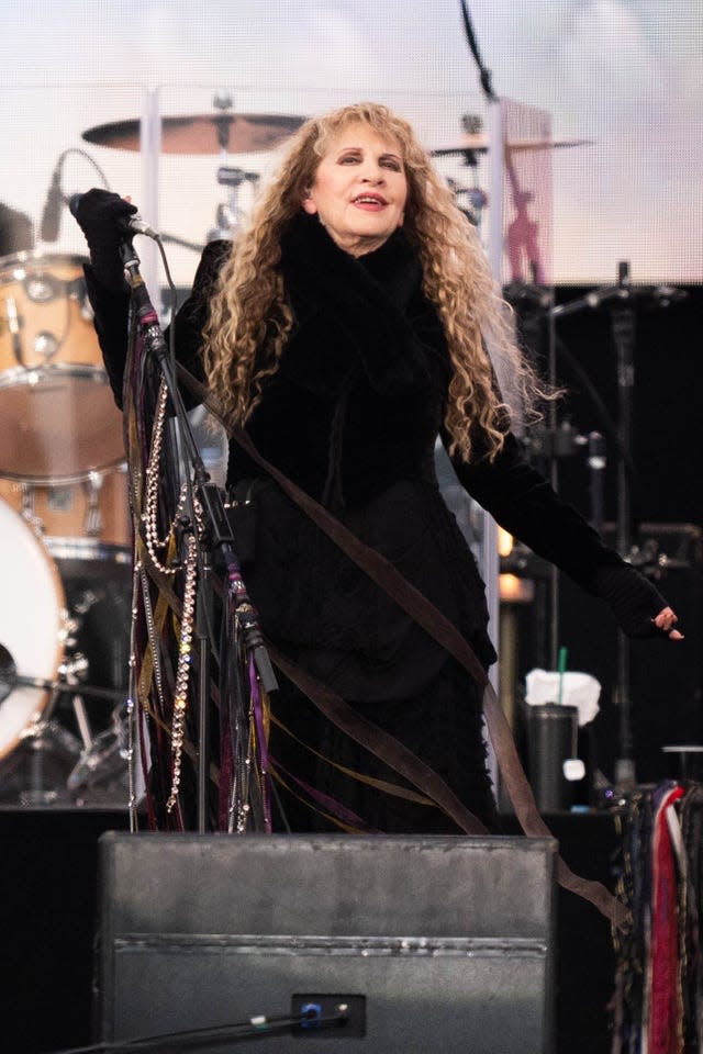 Stevie Nicks