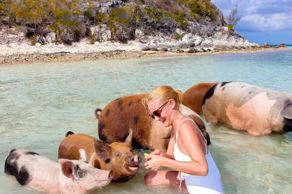 The Bahamas is famous for its swimming pigs (Alexandra Riemann)