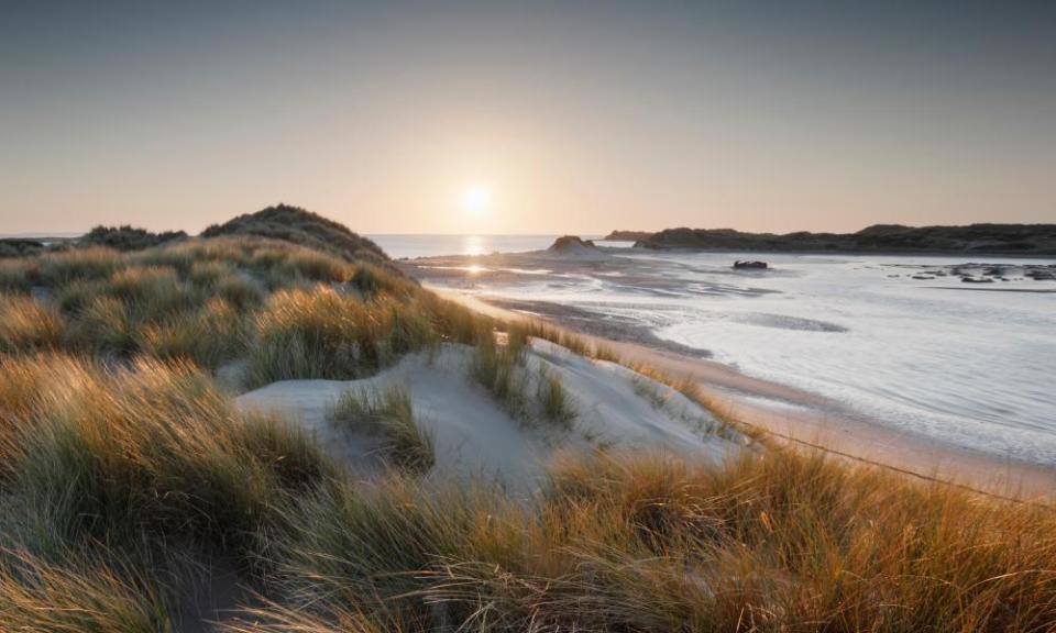 Dunes at Crow Point, Braunton Burrows. Devon, UK.