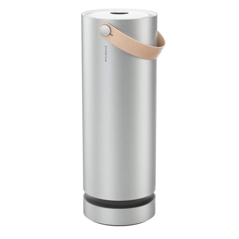 molekule air large room air purifier