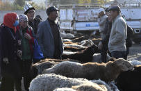 Sellers and buyers of sheeps talk to each other at the Moscow market in Belovodskoye village, about 45 kilometers (28 miles) southwest of Bishkek, Kyrgyzstan, Sunday, Oct. 18, 2020. Kyrgyzstan, one of the poorest countries to emerge from the former Soviet Union, where political turmoil has prompted many people to have little respect for authorities, whom they see as deeply corrupt. (AP Photo/Vladimir Voronin)