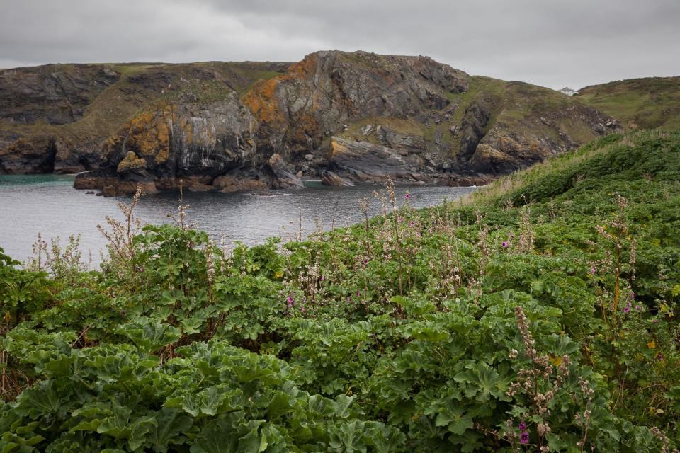 Mullion Island, which is off the Cornish coast (PA)