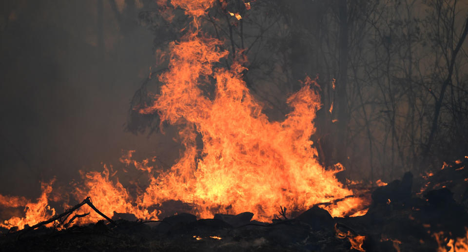 Bushfire shown raging at a property in Torrington, near Glen Innes, in NSW, on Sunday. 