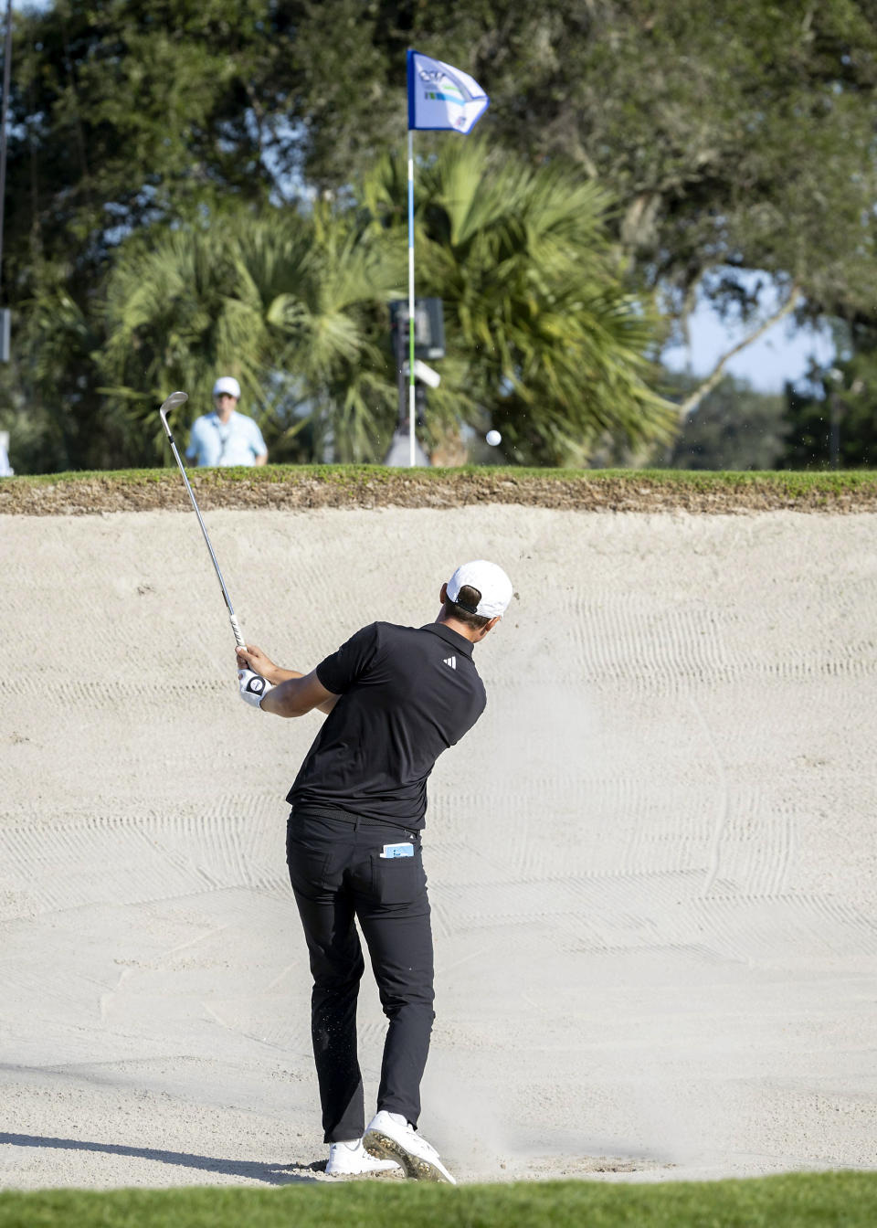 Ludvig Åberg, of Sweden, hits out of a bunker on the 16th green during the final round of the RSM Classic golf tournament, Sunday, Nov. 19, 2023, in St. Simons Island, Ga. (AP Photo/Stephen B. Morton)