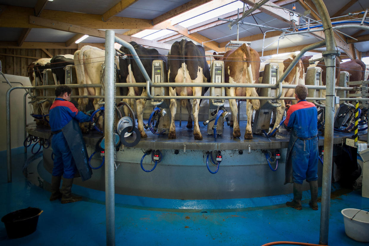 Dans l’Union européenne, les aides de la PAC détournent des objectifs climatiques, a constaté une étude publiée dans la revue « Nature food » (photo d’illustration prise à Niort, en France, en mars 2015).