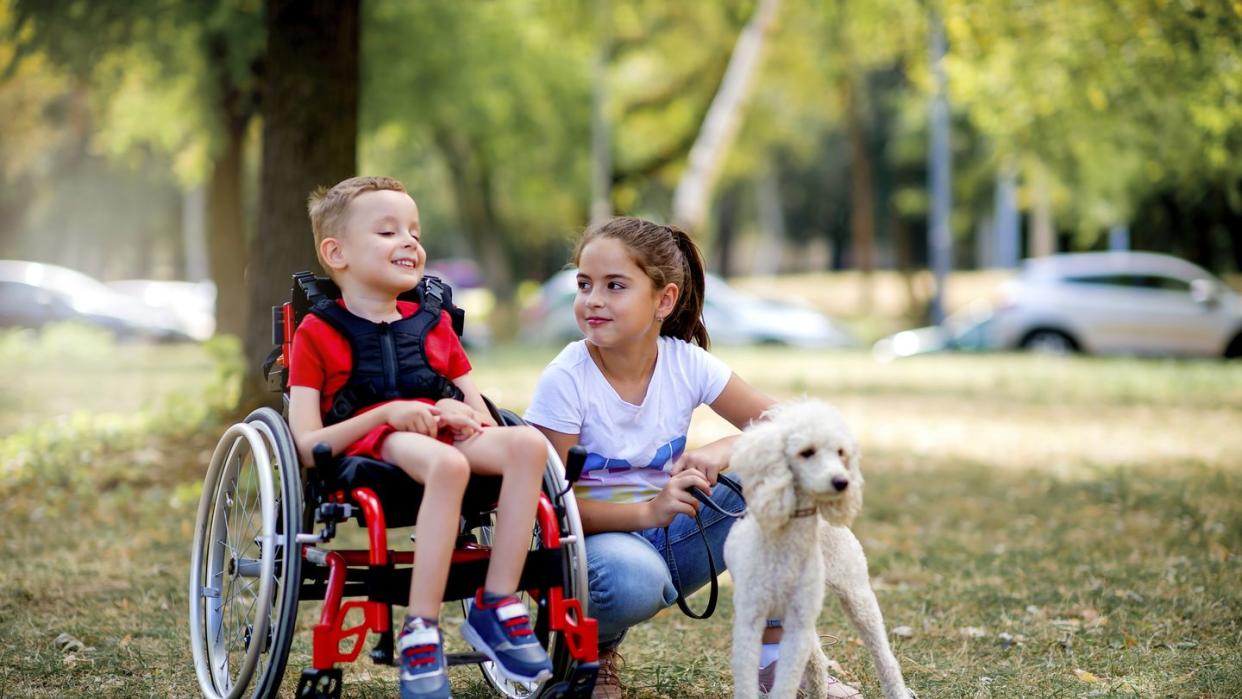 cute little boy in wheelchair playing with his sister and dog outside