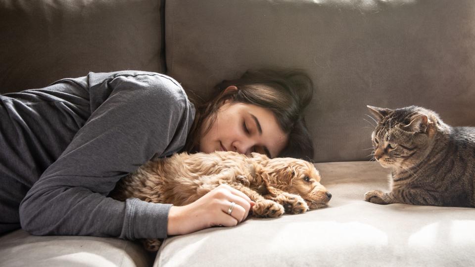 woman napping with cat and dog