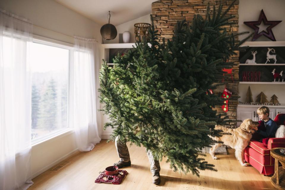 These Christmas Tree Delivery Services Want to Help Save You Time This Holiday Season