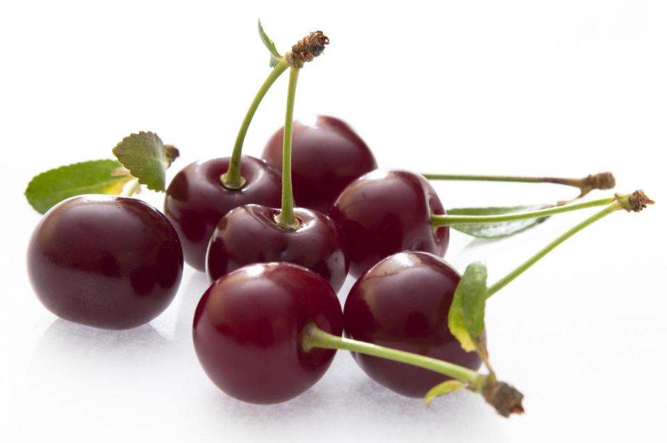 Morello Cherries