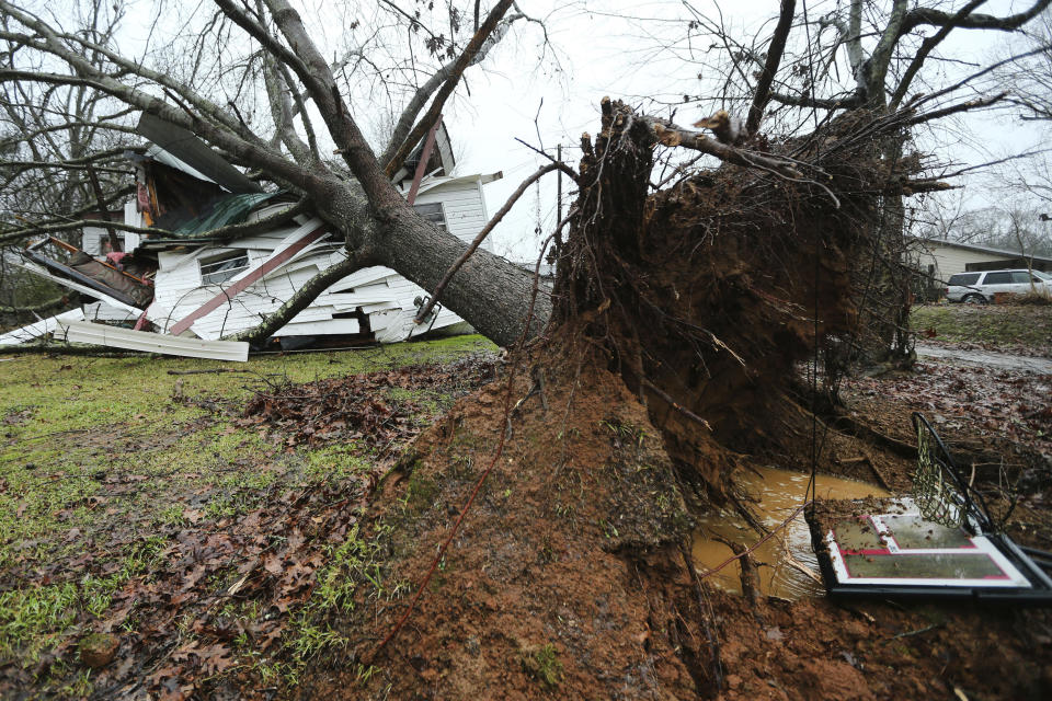 A downed tree rests on top of Anthony Dalrymple's home on Community Road in Baldwyn, Miss., after a small tornado moved through the area Saturday morning, Jan. 11, 2020. Dalrymple was in the room that was struck during the time the storm passed through. (Adam Robison/The Northeast Mississippi Daily Journal via AP)