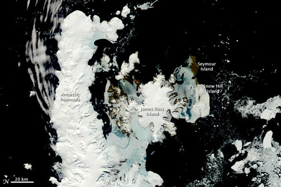 Summer was rapidly approaching when the Moderate Resolution Imaging Spectroradiometer (MODIS) on NASA’s Terra satellite caught this rare, nearly cloud-free view of the northern tip of the Antarctic Peninsula.