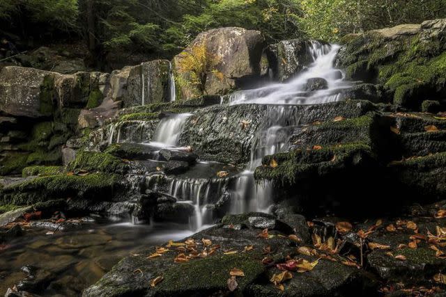 <p>West Virginia Tourism</p>