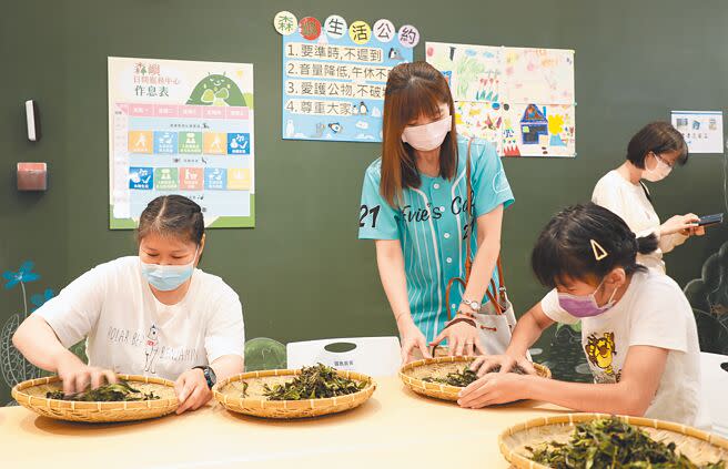 嘉義縣首座社區式多功能身障服務中心20日揭幕，身心障礙青年展現學習成果，帶著大家手揉阿里山紅茶。（呂妍庭攝）