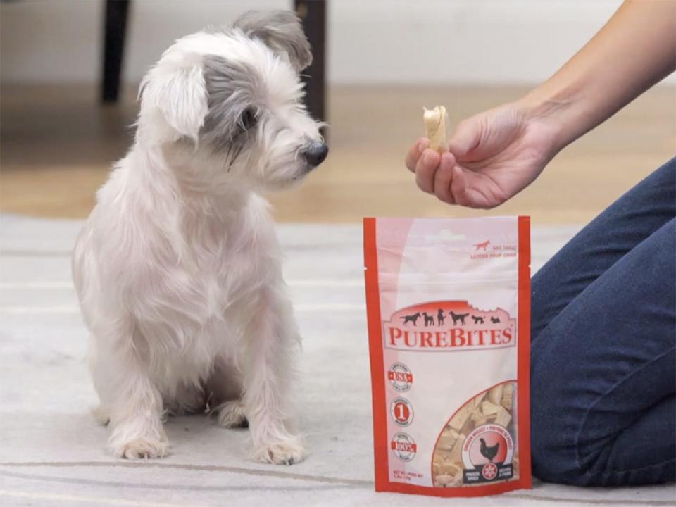 purebites freeze dried dog treats