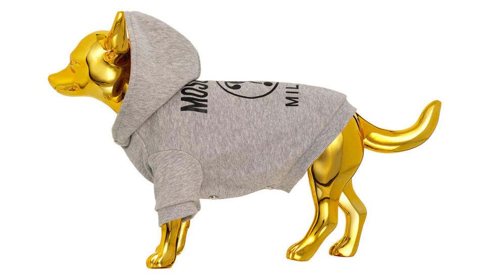 Die neueste Design-Kooperation von H&M mit Moschino enthält auch Hundemode. (Bild: H&M)