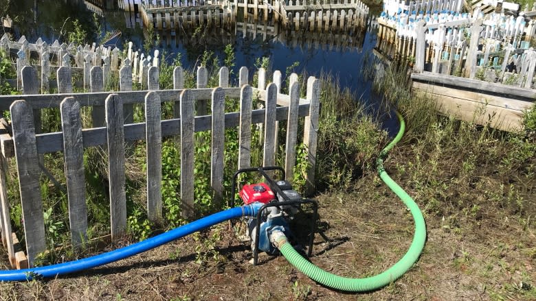 'I don't know where she is': Flooding at Behchoko cemetery leaves graves under water