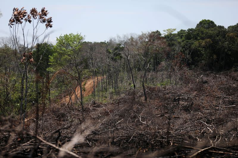 FILE PHOTO: View of a deforested area in the middle of the Yari plains, in Caqueta