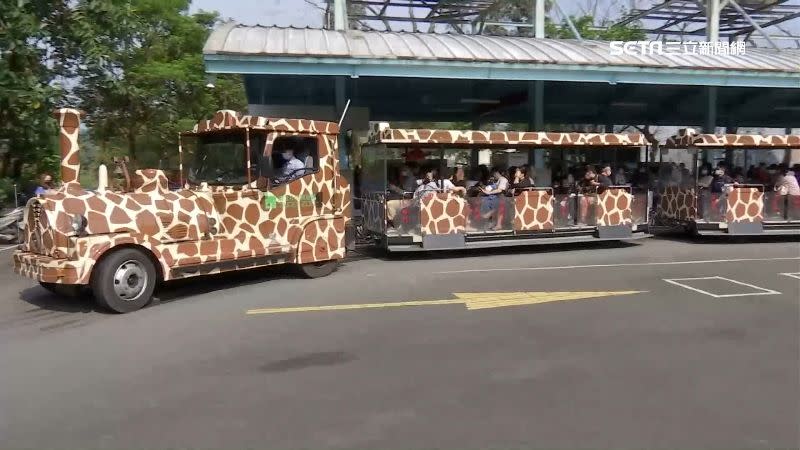 動物園加派遊園列車疏解人潮。