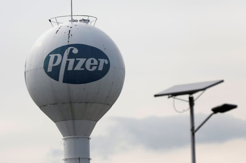 A logo of American pharmaceutical corporation Pfizer Inc., is pictured in Toluca