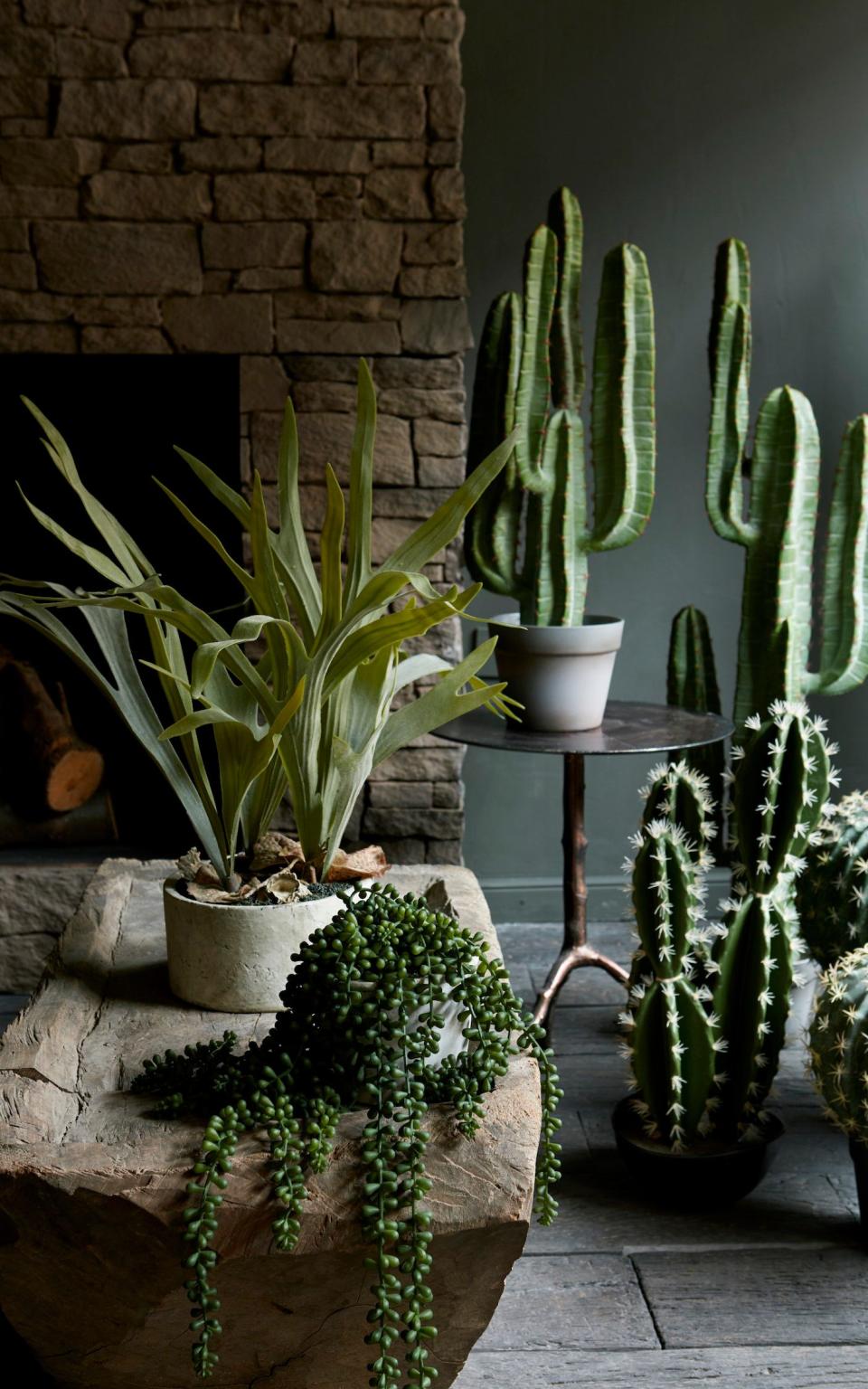 Green party: faux plants by Abigail Ahern, can freshen up your decor - Credit:  Graham Aktins-Hughes