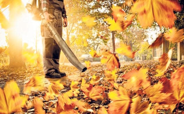 Lockdown brought few benefits other than a quieter life - don't let leaf blowers spoil it now  - Getty Images 