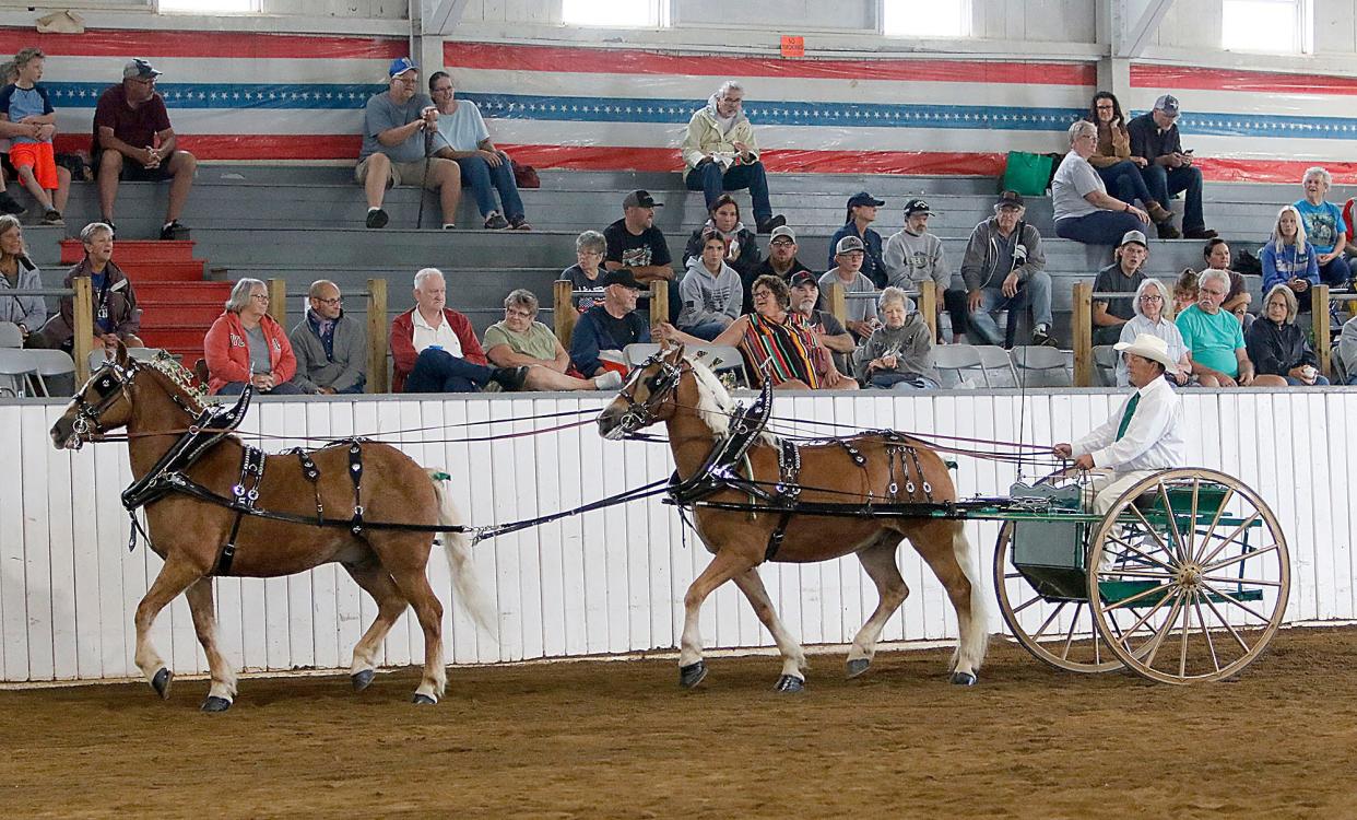 An exhibitor shows during the youth tandem pony hitch class at last year's Ashland County Fair. The entry deadline for this year's fair is Saturday.