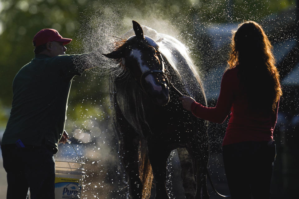 Guadalupe Guerrero, left, and exercise rider Jade Cunningham give Preakness hopeful Ram a bath after a morning exercise at Pimlico Race Course ahead of the Preakness Stakes horse race, Tuesday, May 11, 2021, in Baltimore. (AP Photo/Julio Cortez)