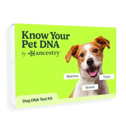 Know Your Pet DNA Kit