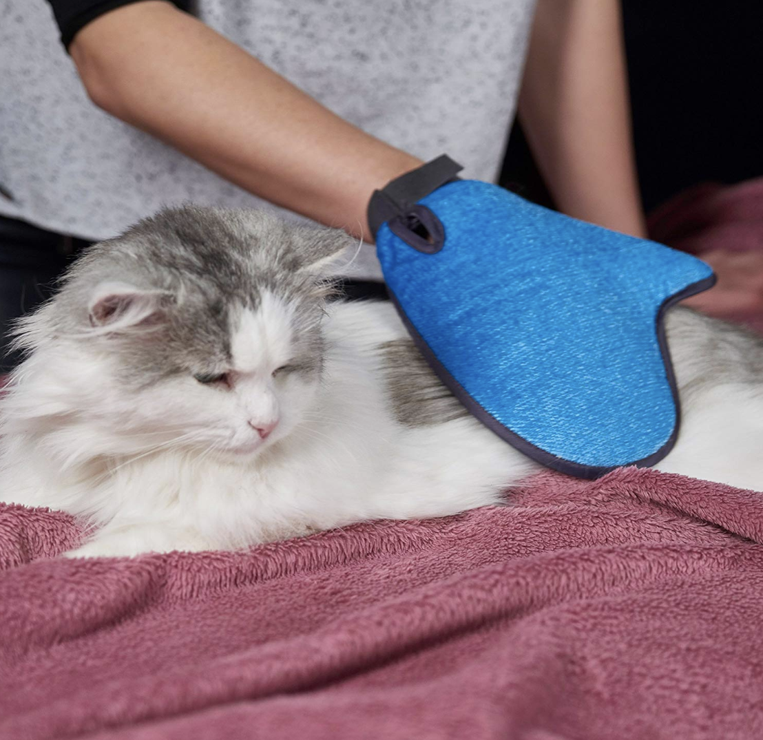 2-in-1 pet glove for grooming and pet hair removal from furniture
