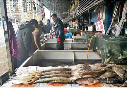 Seafood stalls at Huanan.