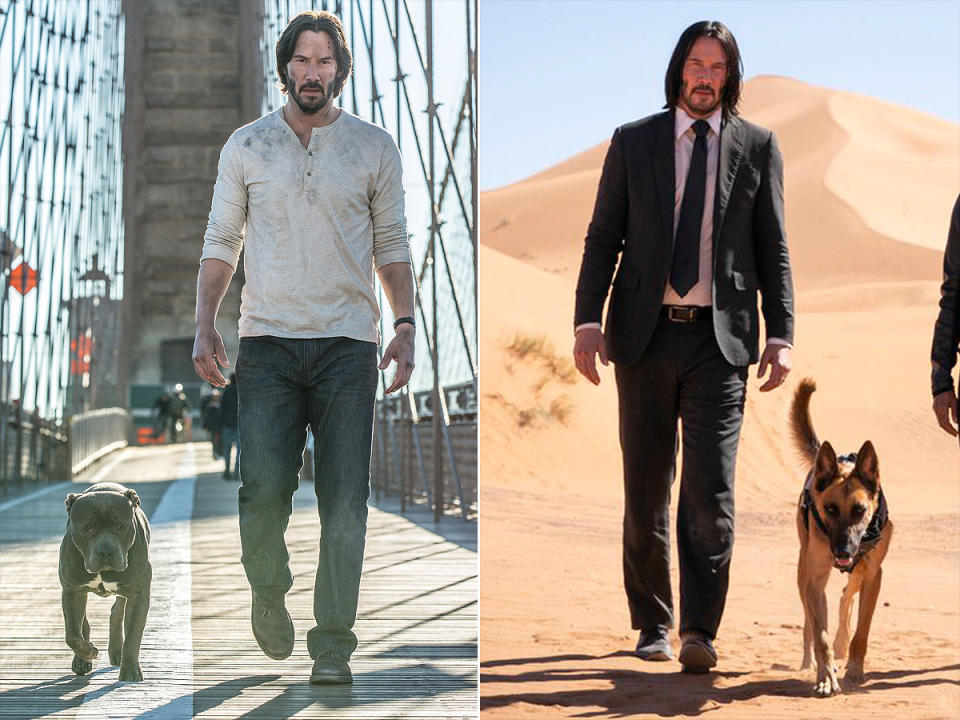 Did John Wick's Dog Die Again? Seen with German Shepherd for New Film