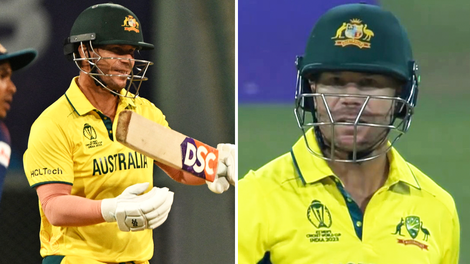 David Warner reviews and Warner angry.