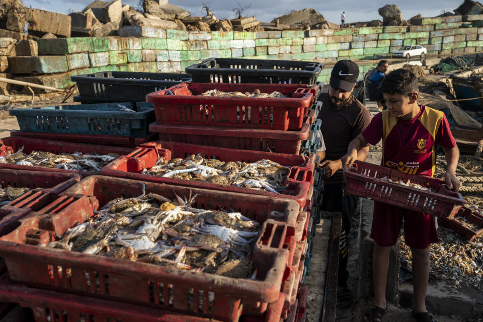 A young fisherman helps load a horse-drawn cart before delivering the haul to market after a limited number of boats were allowed to return to the sea following a cease-fire reached after an 11-day war between Hamas and Israel, in Gaza City, Sunday, May 23, 2021. (AP Photo/John Minchillo)