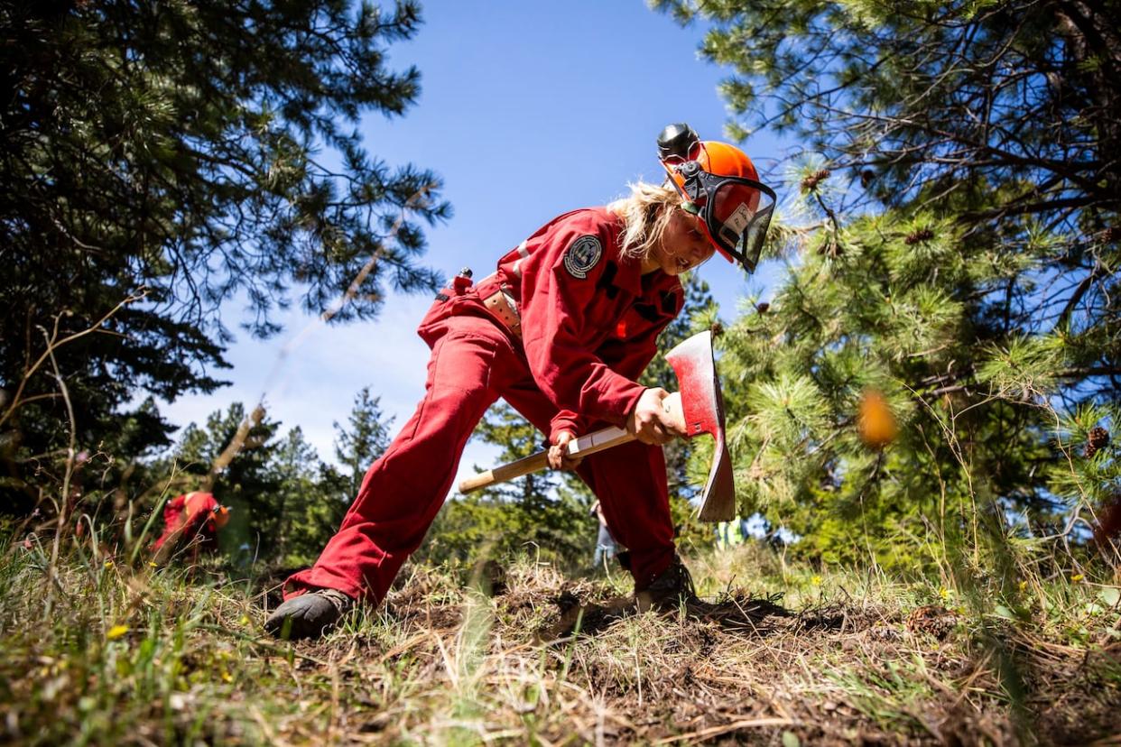 A firefighter uses a Pulaski to dig a fire break at the B.C Wildfire Service boot camp outside of Merritt, B.C., in 2019. (Ben Nelms/CBC - image credit)