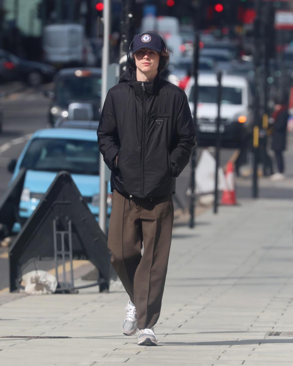 Even in 2020, Timothée Chalamet Brought Style to Everything He Did