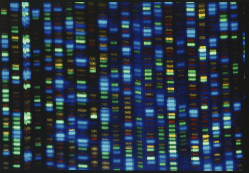 Image readout of a human genome. (NHGRI via AP)