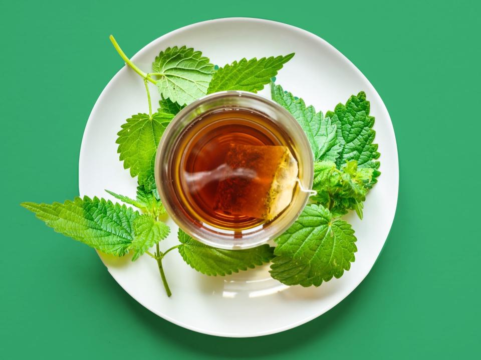 Nettle tea benefits and recipe: nettle infusion tea on a green background
