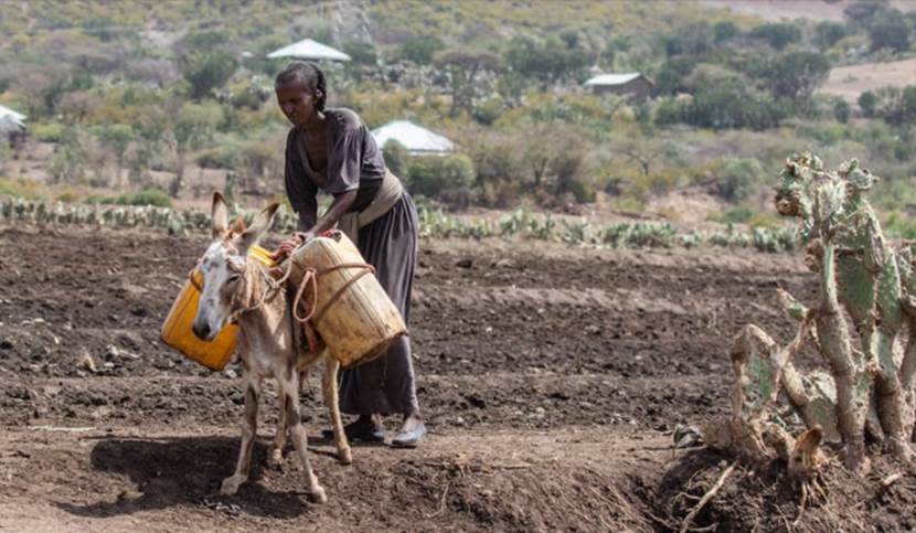 據樂施會（Oxfam）統計，已開發國家承諾提供給開發中國家的氣候資金遠遠不夠。圖片來源：dMz／Pixabay
