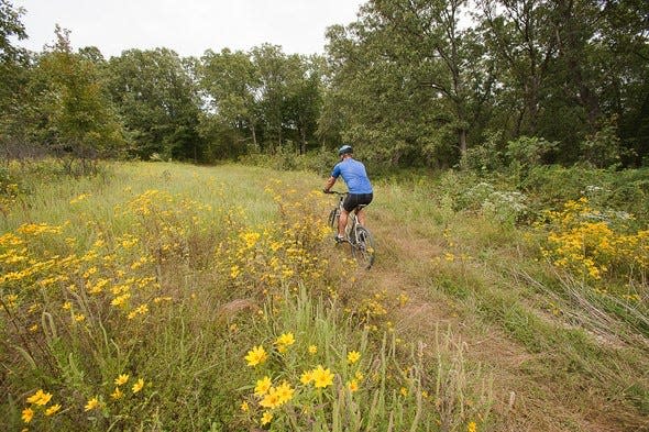 Bicycles and electric bicycles will now be allowed on many MDC conservation-area service roads and multi-use trails starting Feb. 28. Shown is Canaan Conservation Area.