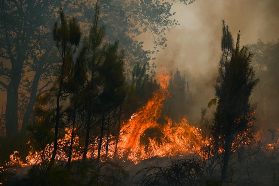 Flames rise at a forest fire near Louchats in southwestern France on Monday. 