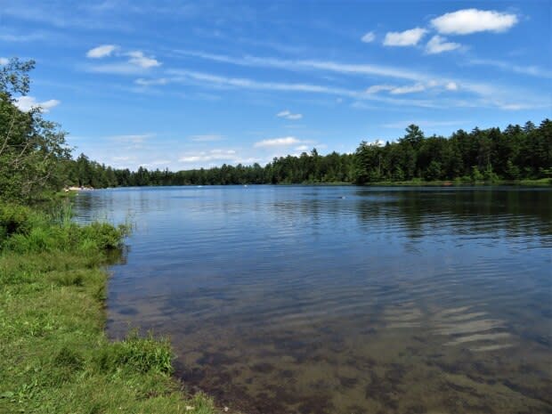 Nashwaak Watershed Association/Facebook