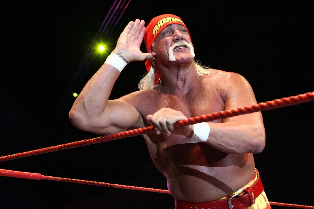 Hulk Hogan was suspended from WWE in 2015: Paul Kane/Getty Images