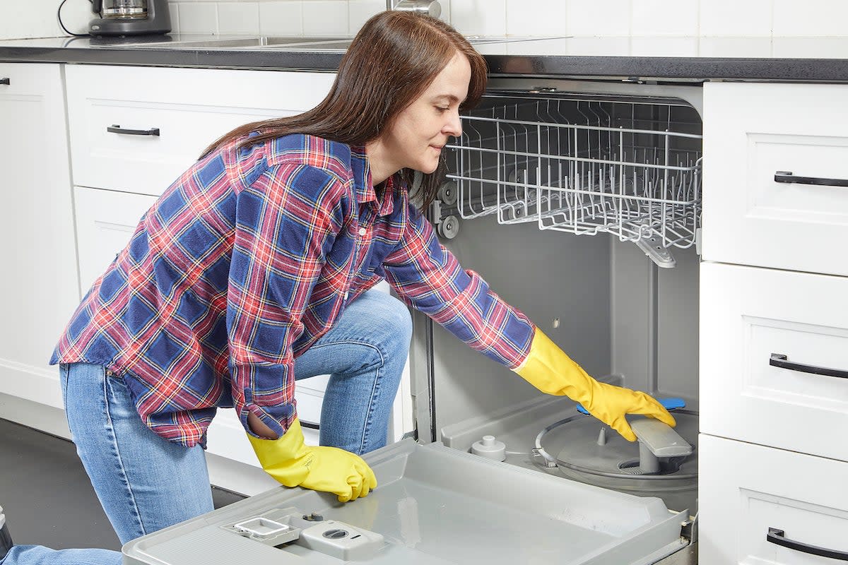 how-to-clean-a-dishwasher-filter_open