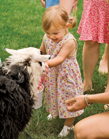 little girl petting a sheep