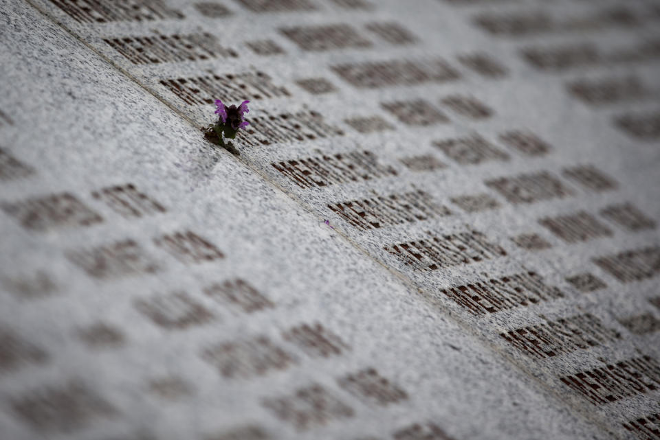 In this Saturday, March 16, 2019 photo, a flower is placed next to a name of a massacre victim carved in memorial cemetery in Potocari, near Srebrenica, Bosnia-Herzegovina. Nearly a quarter of a century since Bosnia's devastating war ended, former Bosnian Serb leader Radovan Karadzic is set to hear the final judgment on whether he can be held criminally responsible for unleashing a wave of murder and mistreatment by his administration's forces. United Nations appeals judges on Wednesday March 20, 2019 will decide whether to uphold or overturn Karadzic's 2016 convictions for genocide, crimes against humanity and war crimes and his 40-year sentence. (AP Photo/Darko Bandic)