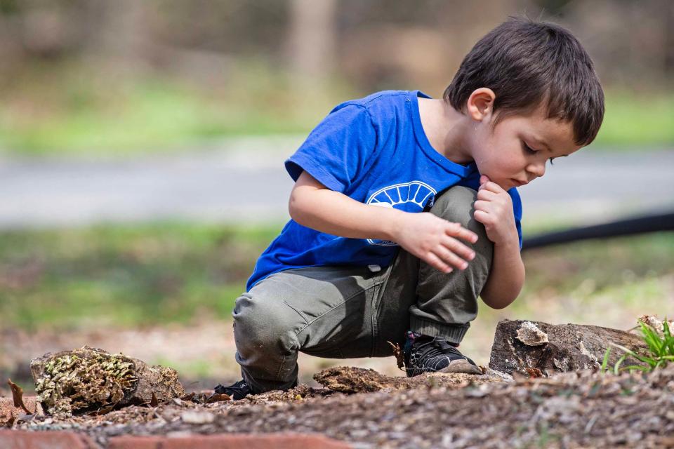 Jimmy Albanese, 4, takes a moment to study mushrooms on the R.O.O.T.S. (Reaching Outside of Traditional Schooling) Youth+ Development Program's family homestead in Georgetown, Wednesday, March 13, 2024.