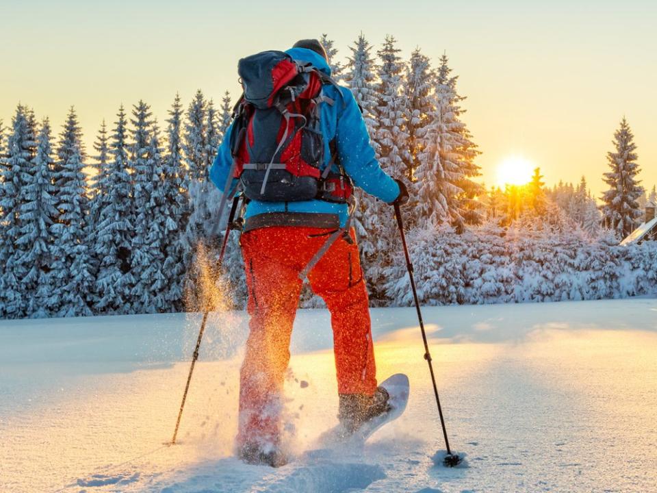 Mit den Schneeschuhen durch die Natur wandern - im Winter eine beliebte Beschäftigung. (Bild: Jag_cz/Shutterstock.com)